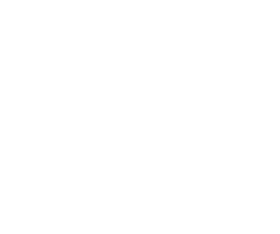 GeoVibes Logo