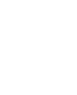 GeoVibes logo